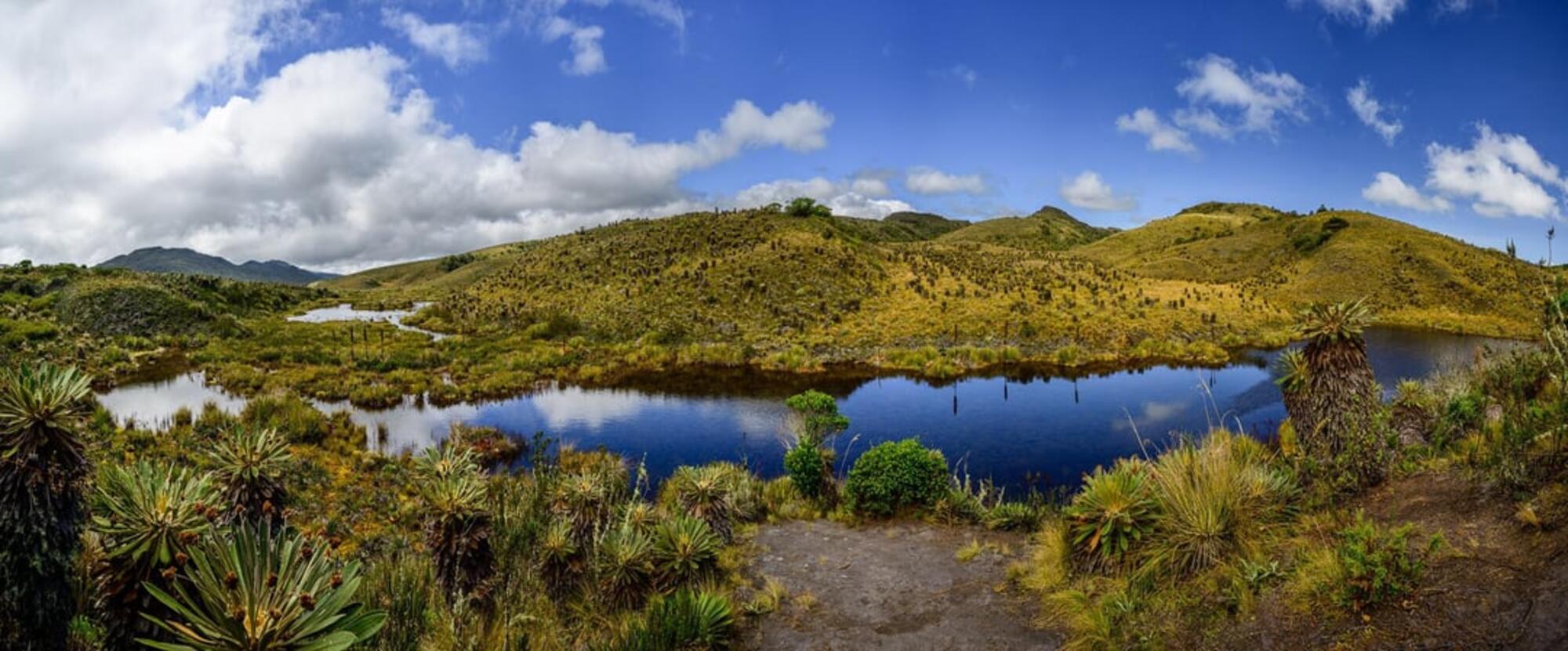 Páramo de Guacheneque